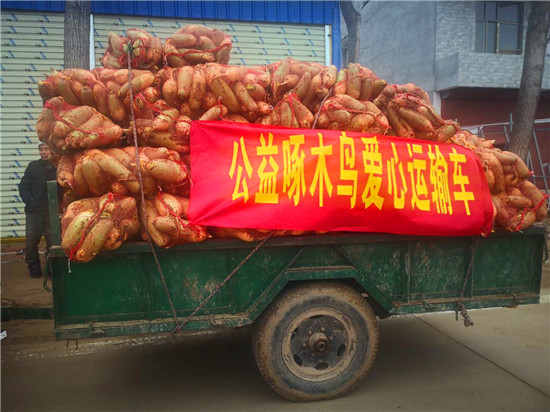 ＂愛(ài)心蘿卜＂來(lái)了！