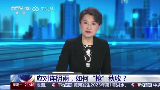 【主流媒體看周口】面對連陰雨 如何“搶”秋收？